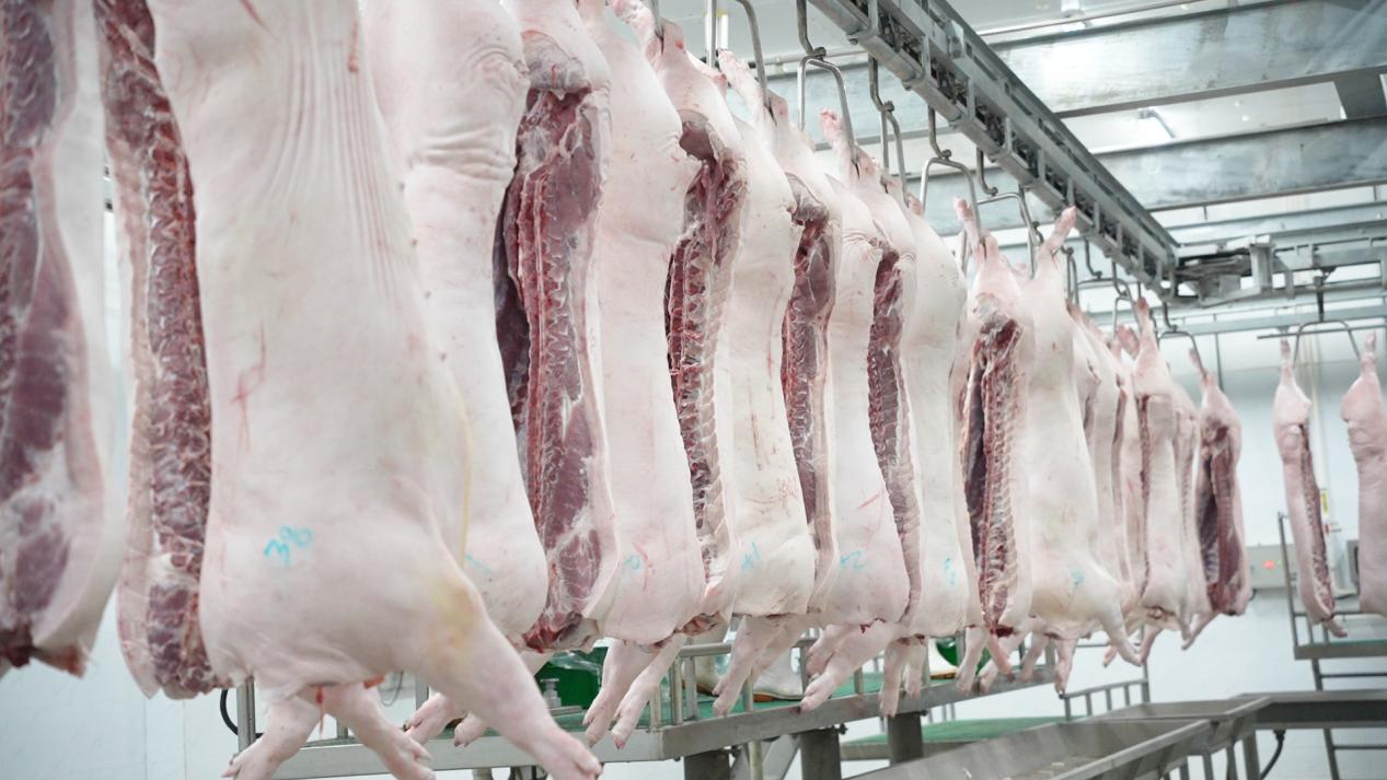 1763430481573199.png 1763430481573199.png