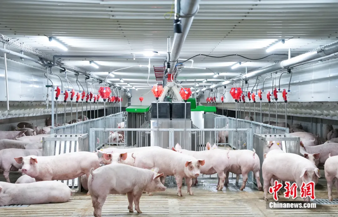 1764120467411278.png 1764120467411278.png